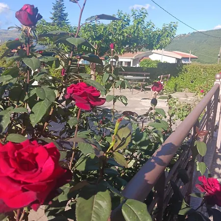 Village Perfume Дом отдыха Калаврита
