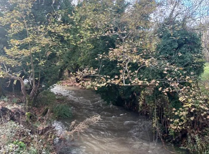 Village Perfume * 칼라브리타